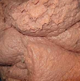 Input: Fine Mince Texture